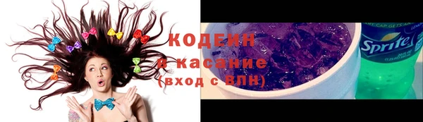 молекула духа Козельск
