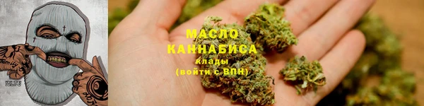 молекула духа Козельск