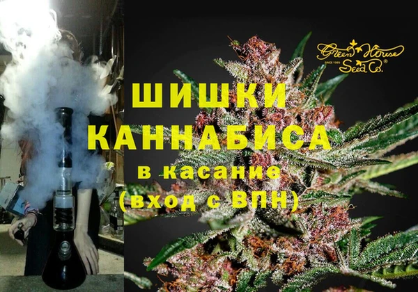молекула духа Козельск