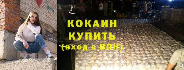 молекула духа Козельск