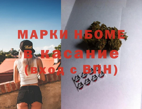 молекула духа Козельск