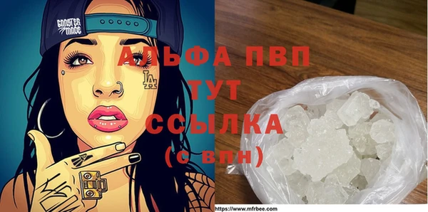 молекула духа Козельск