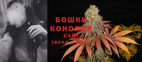 spice Козловка