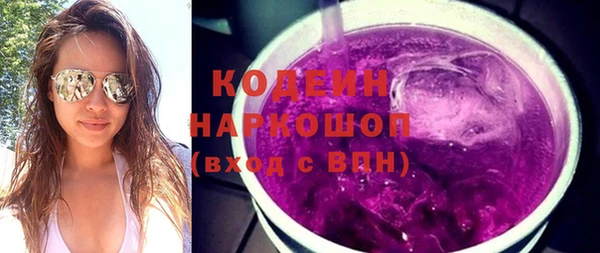 молекула духа Козельск