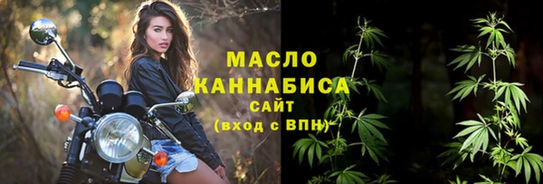 молекула духа Козельск