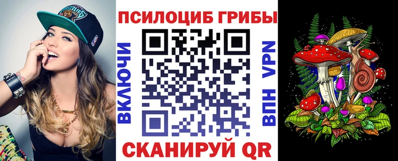 Псилоцибиновые грибы MAGIC MUSHROOMS  Купить  Ковылкино 